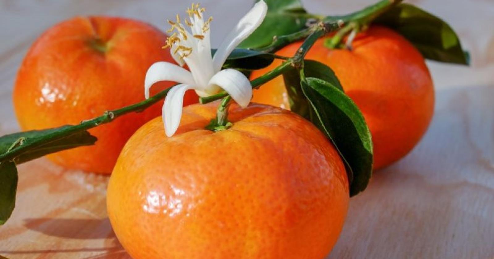 Riparte #OrangeConfagri: le clementine di Confagricoltura Donna contro la violenza sulle donne