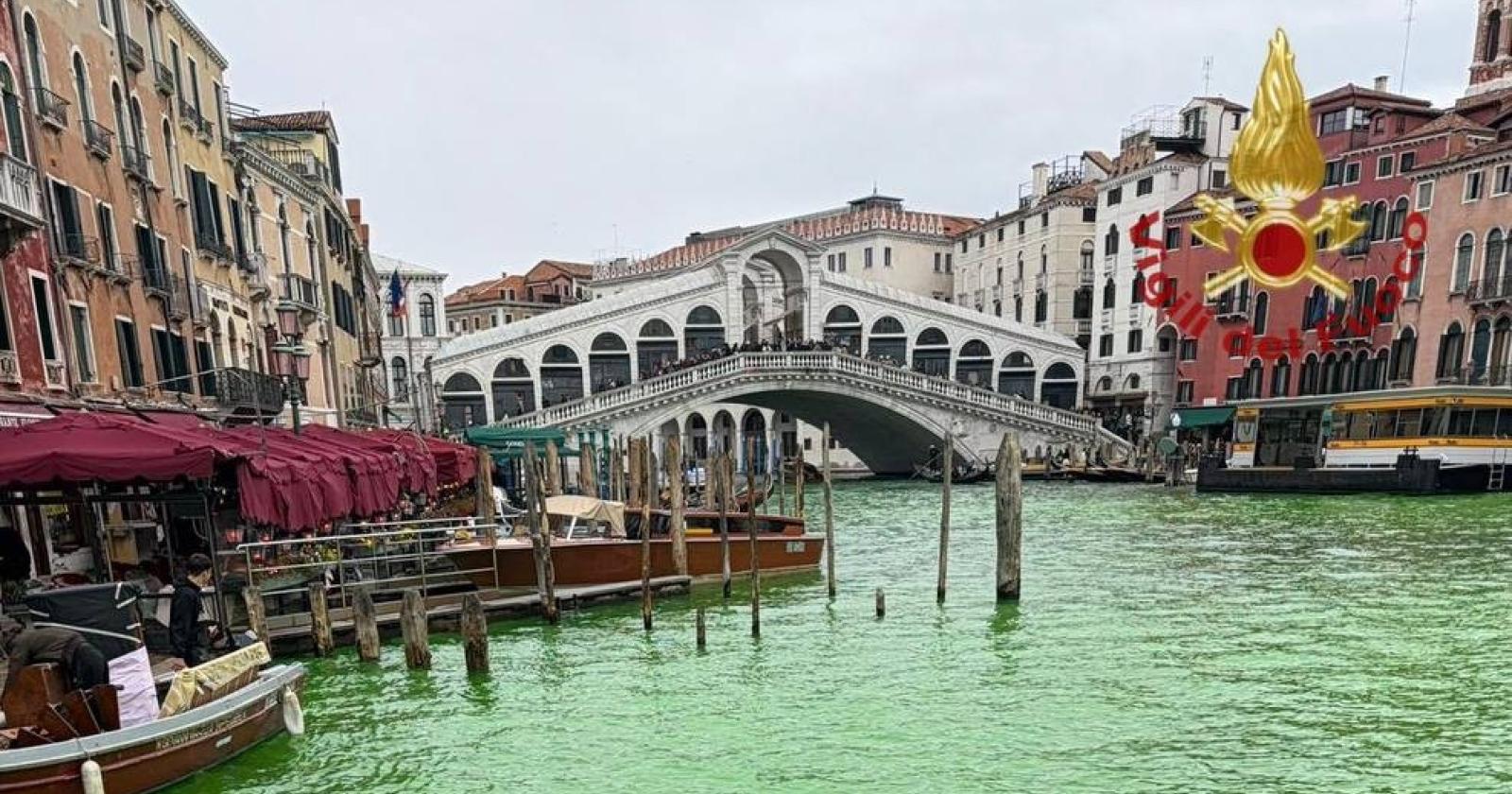 Venezia, ancora verde il Canal Grande