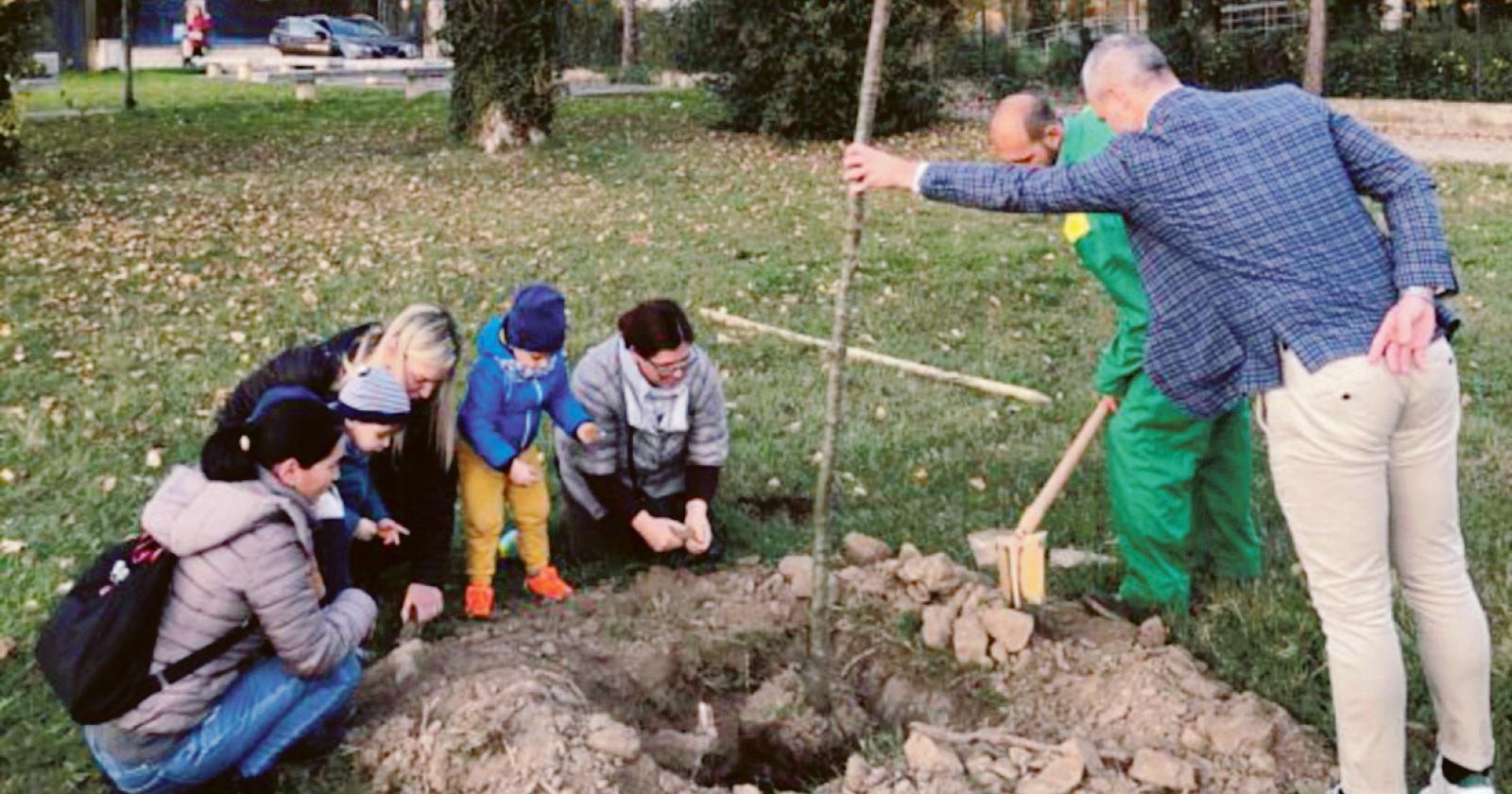 In città arrivano quasi 700 piante