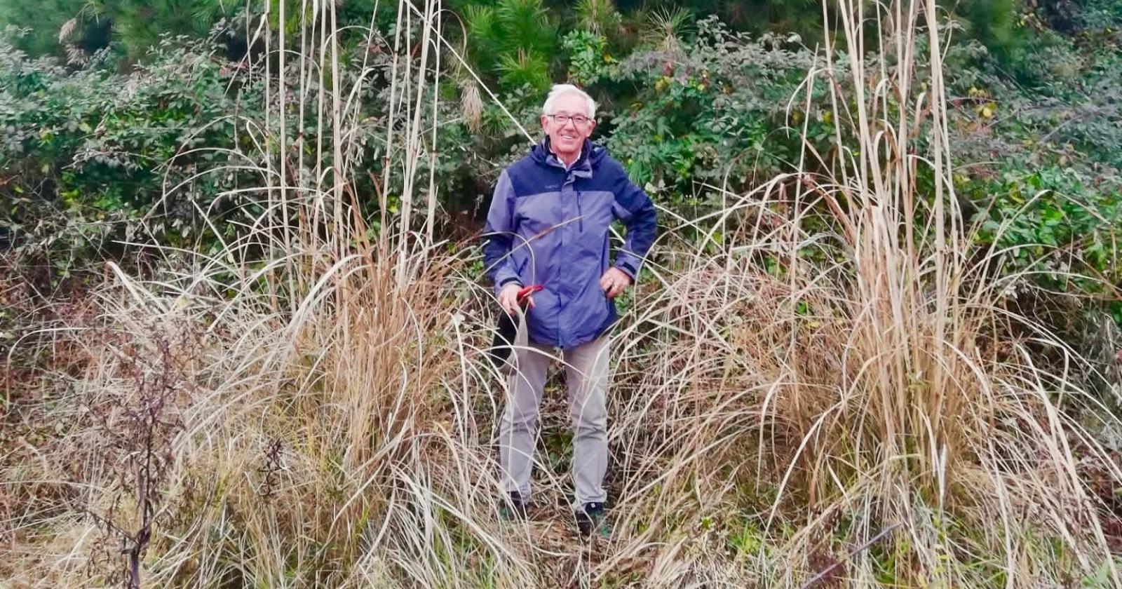 Dall’oasi scompare la canna