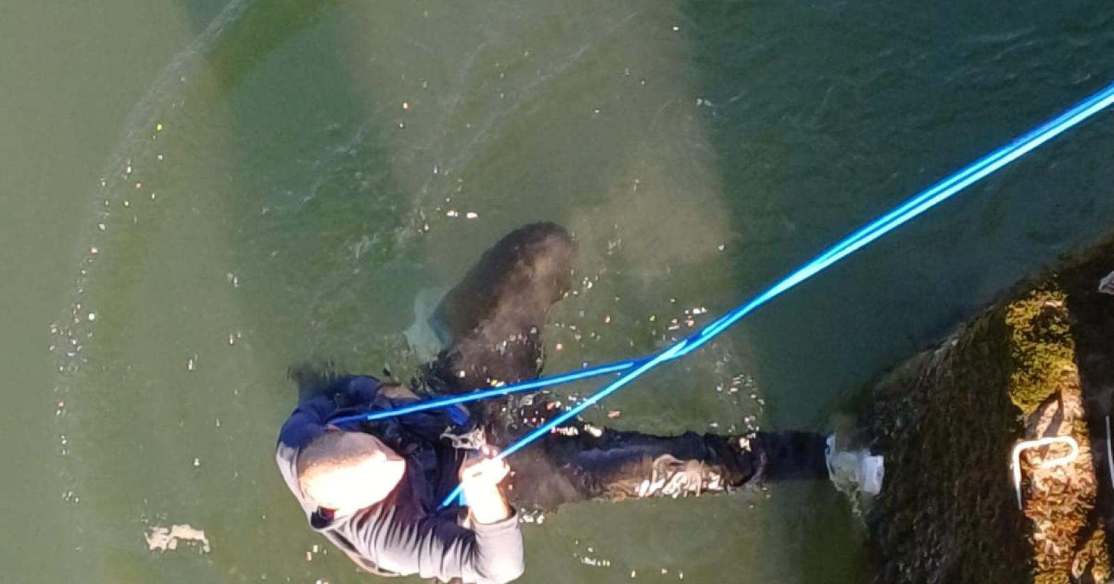 Uomo salvato dalle correnti dell'Adige