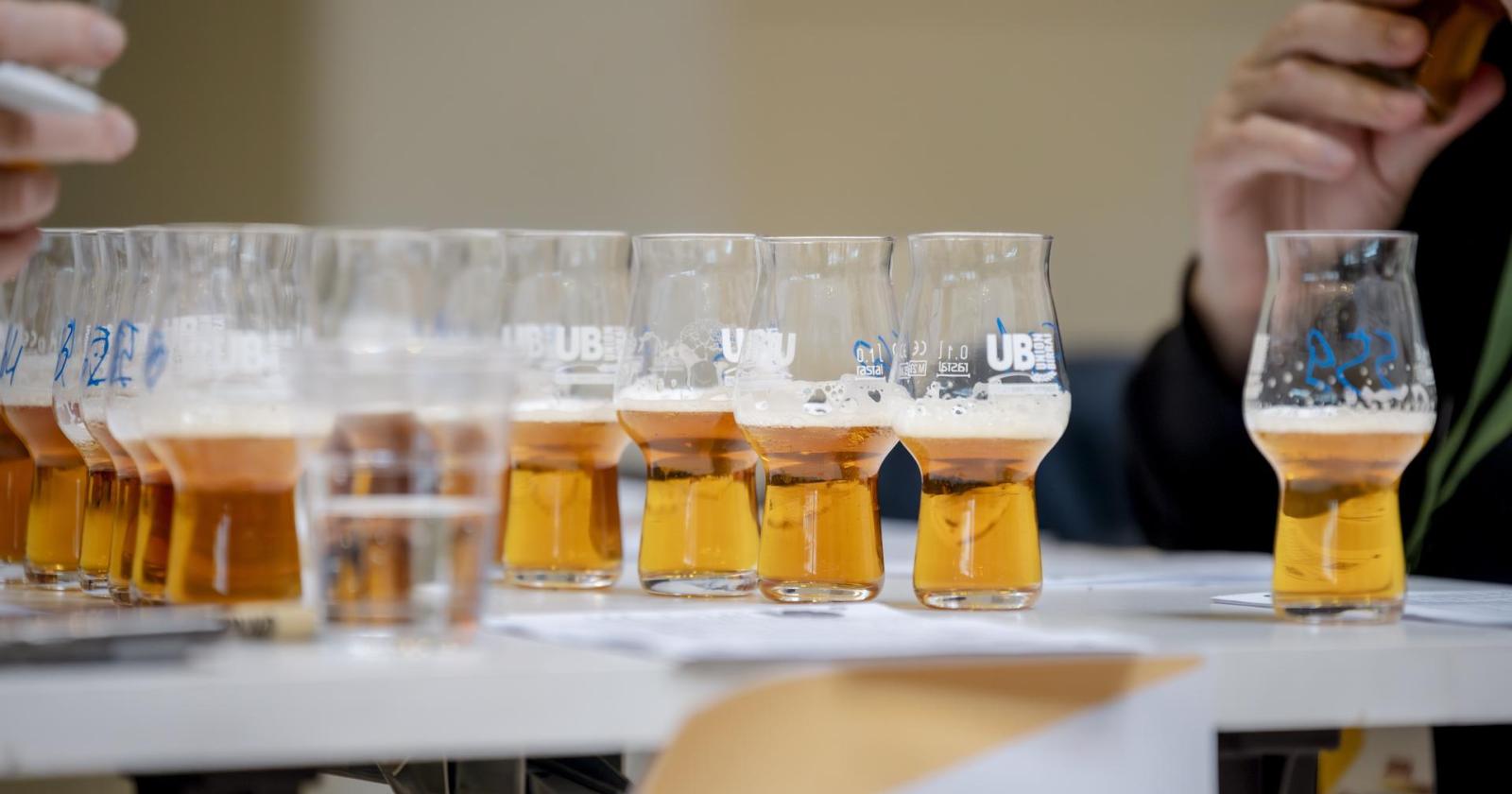 Al via Birra dell&rsquo;Anno 2026