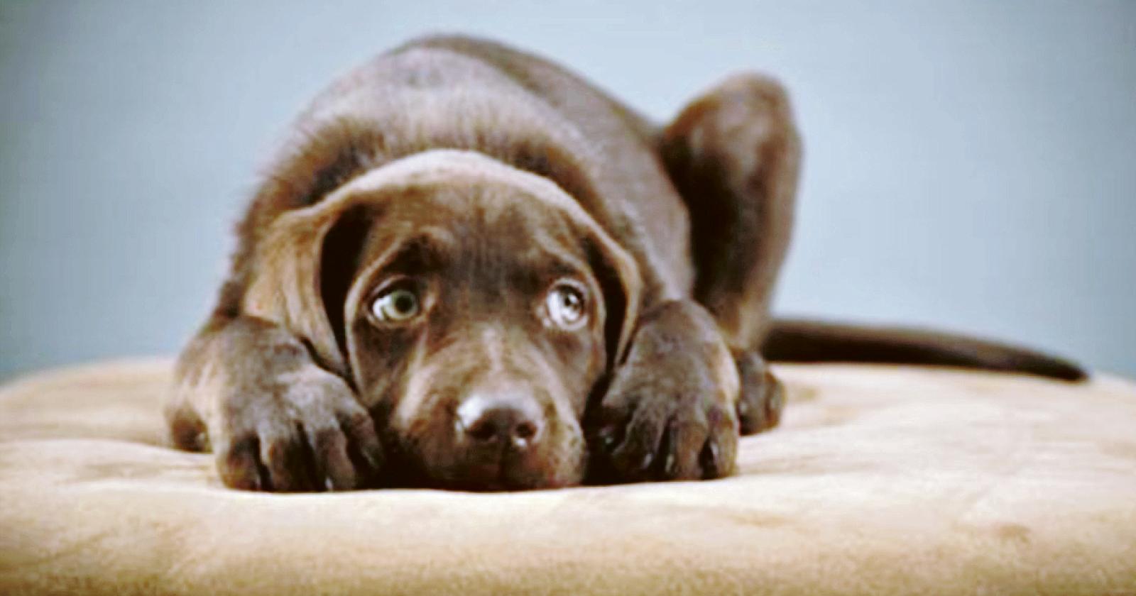 Botti: invito alla responsabilit&agrave;