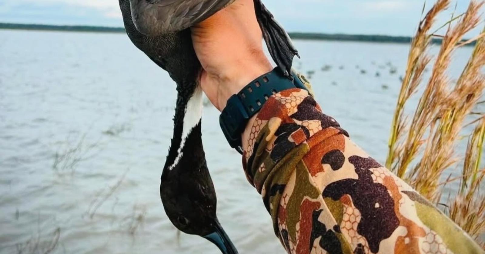 Si chiude la stagione venatoria ma permangono le violazioni delle leggi