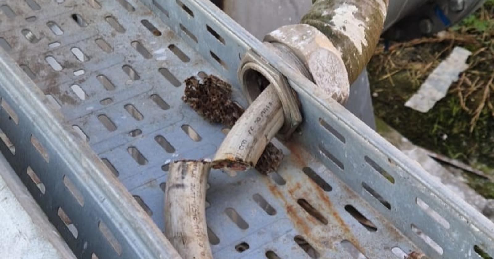 I ladri razziano anche le idrovore