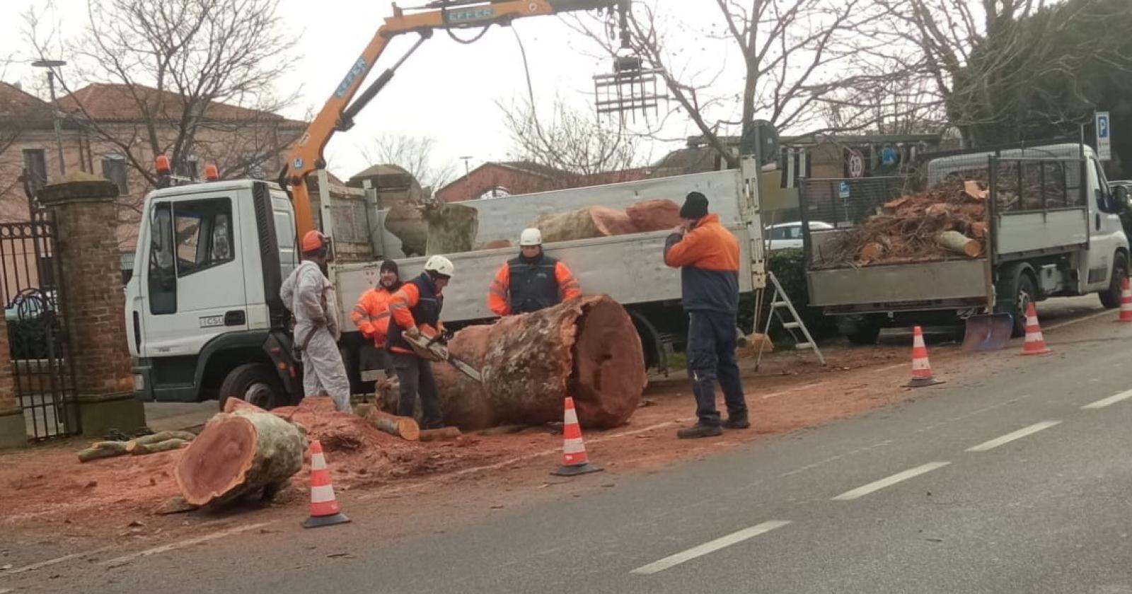 Verde, arriva la raccolta firme