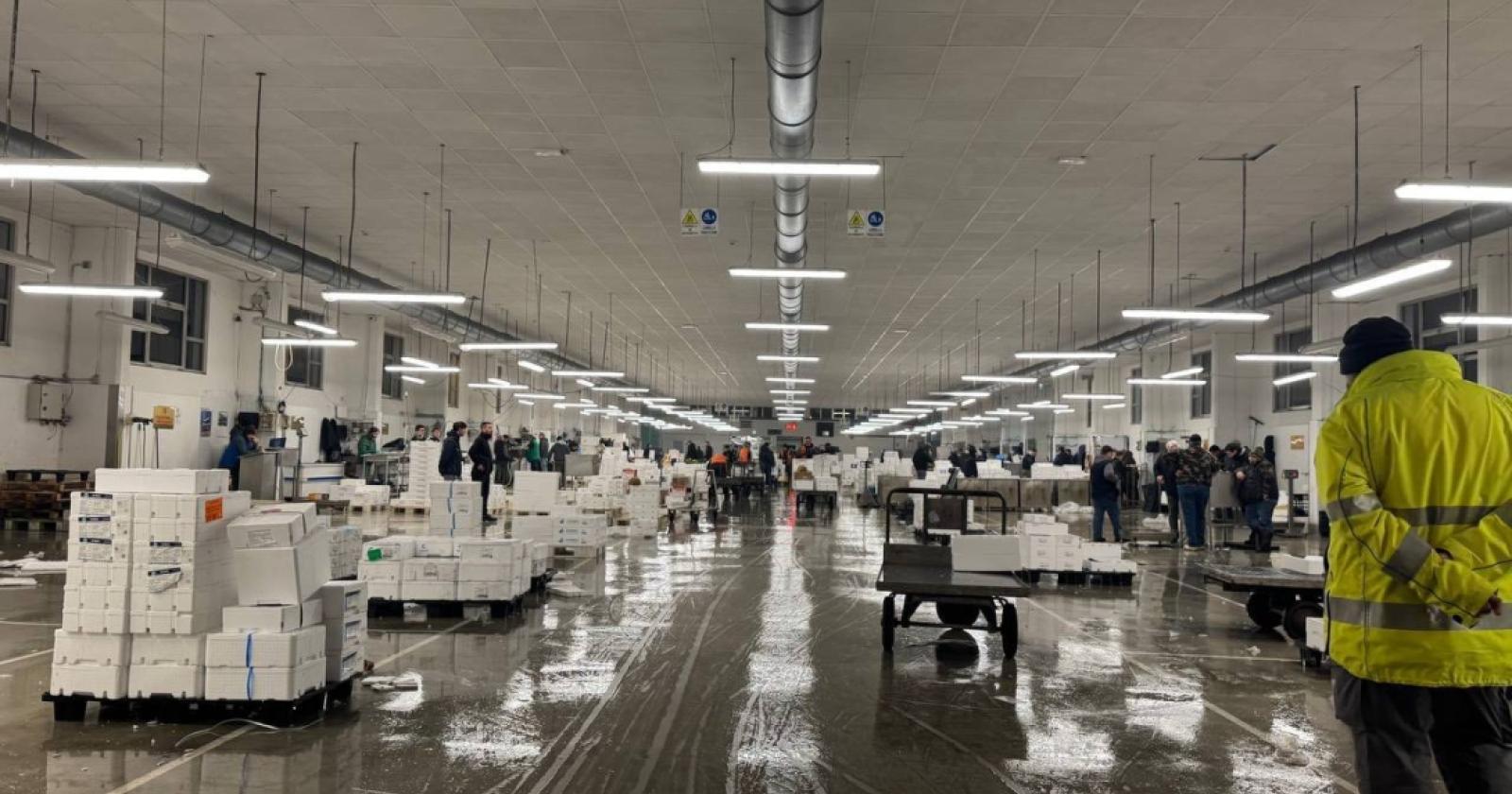 Venezia, il mercato ittico si prepara al trasferimento storico al Tronchetto