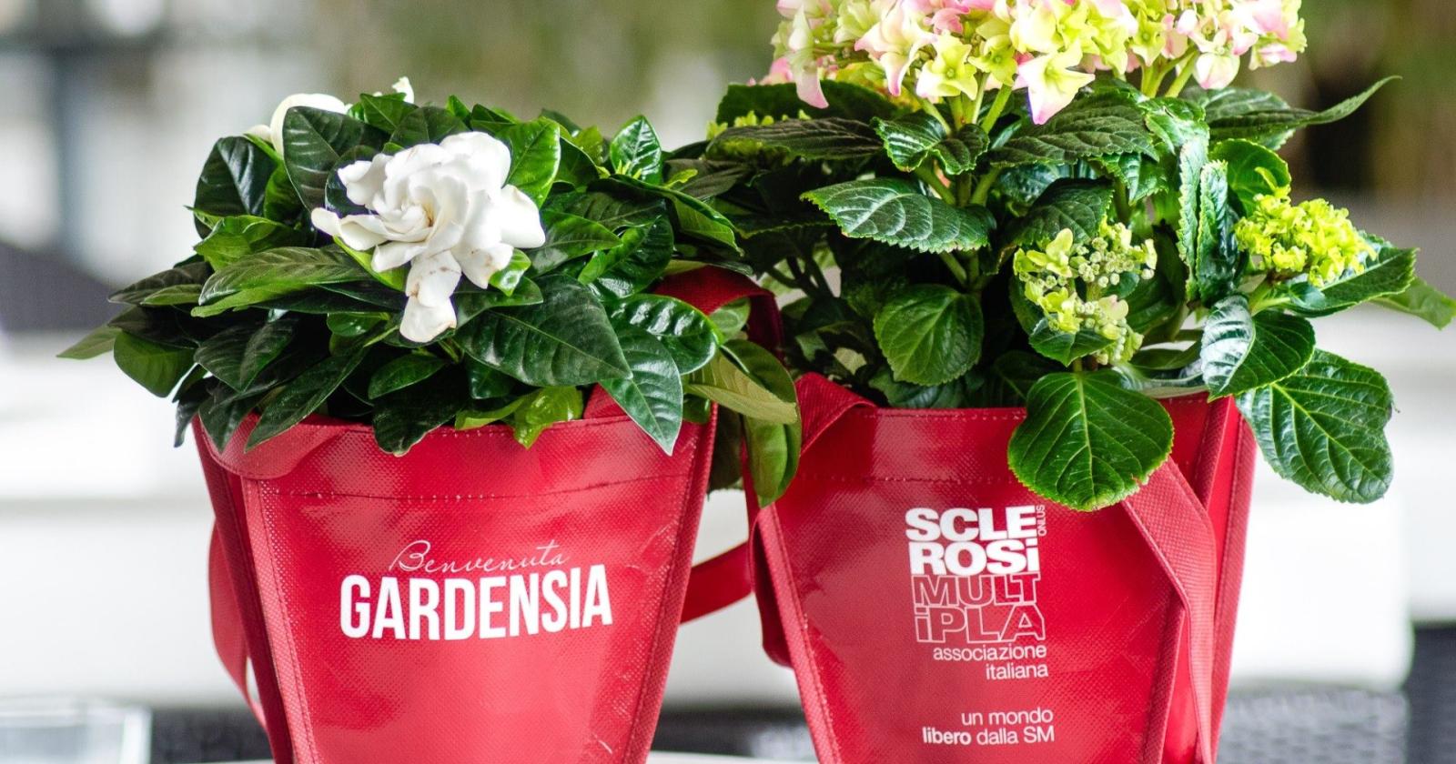 Gardensia Aism torna nelle piazze per l&rsquo;8 marzo