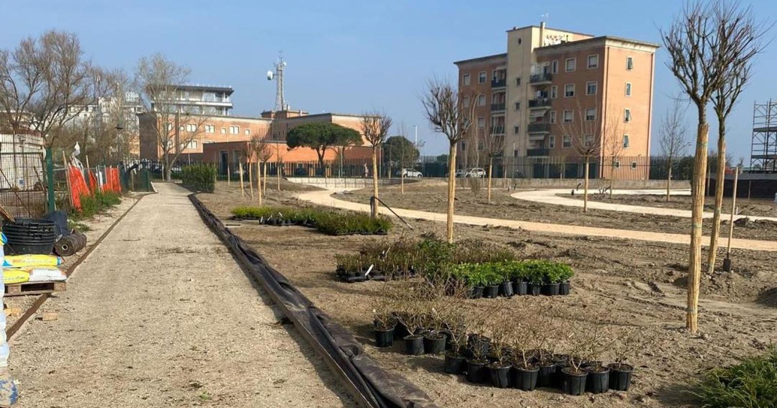 Arena, i lavori procedono spediti