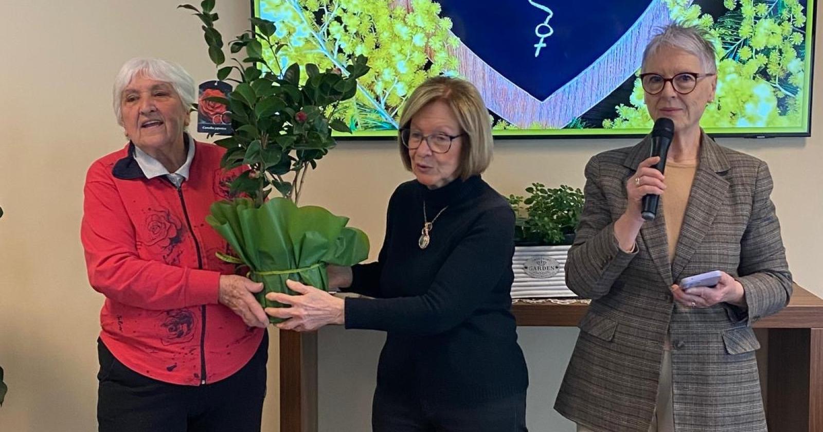 Un camelia per celebrare le donne