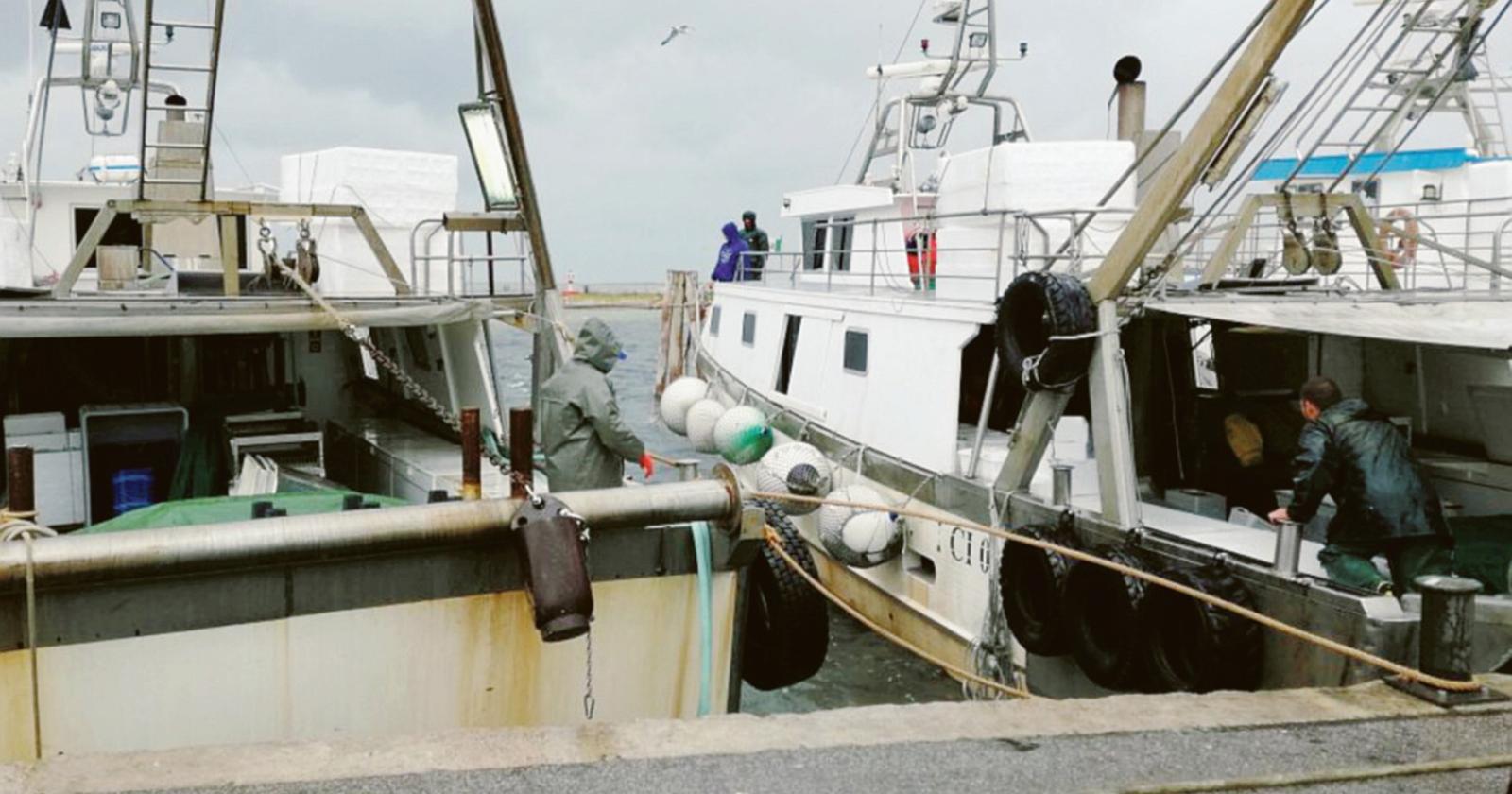 Flag-Gac, bandi per 1,6 milioni