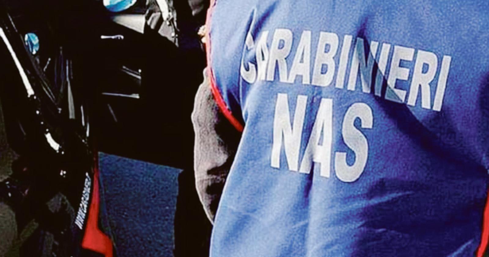 Sequestrato cibo etnico irregolare per 2 milioni di euro