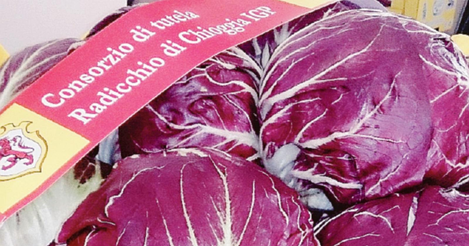 "Cambiamenti climatici, gli aiuti per il radicchio Igp ci sono"