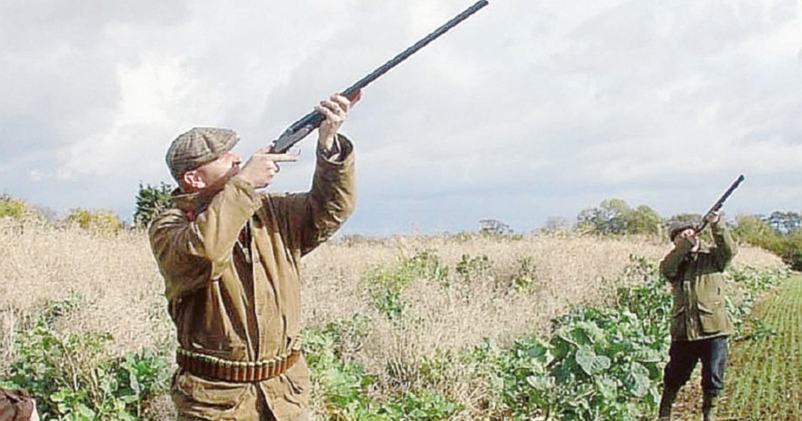 Veneto, chiusura anticipata della caccia per alcune specie acquatiche e migratorie