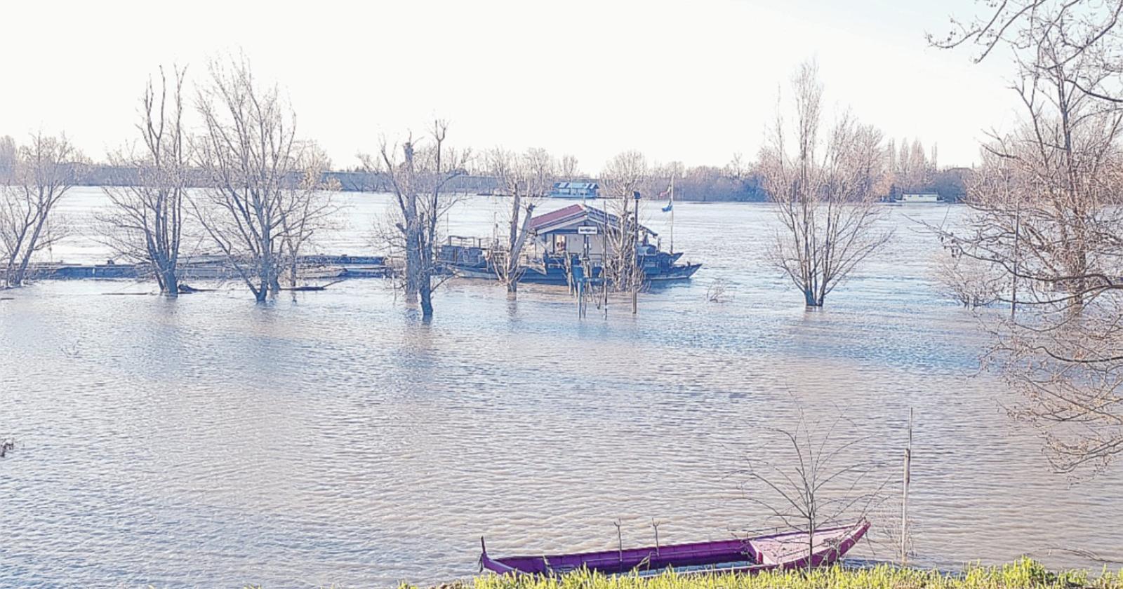 Sorveglianza per Po e Canalbianco