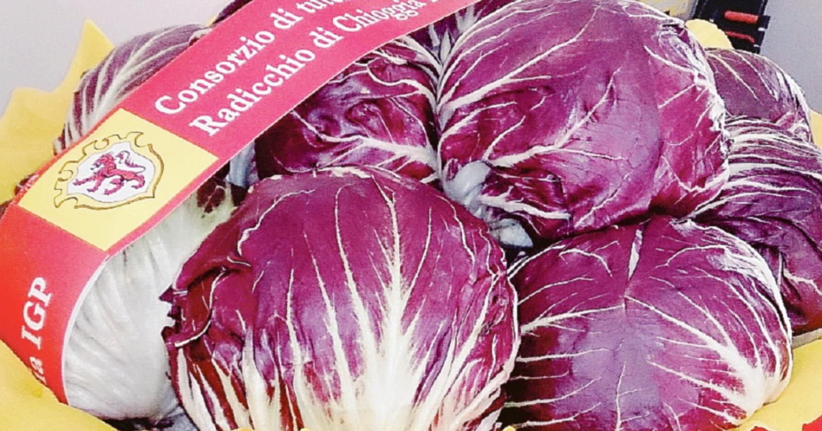 Radicchio, il Consorzio ottiene il rinnovo