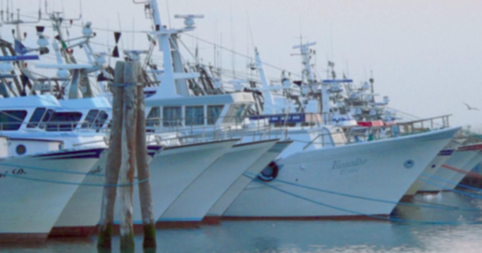 Caro carburanti, Alleanza delle Cooperative chiede sostegno al mondo della pesca