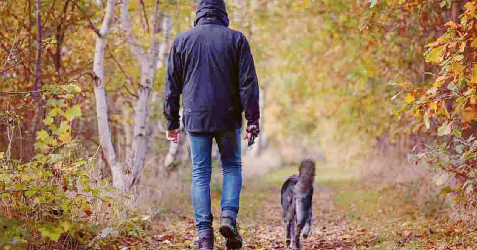 L'autunno non decolla ancora