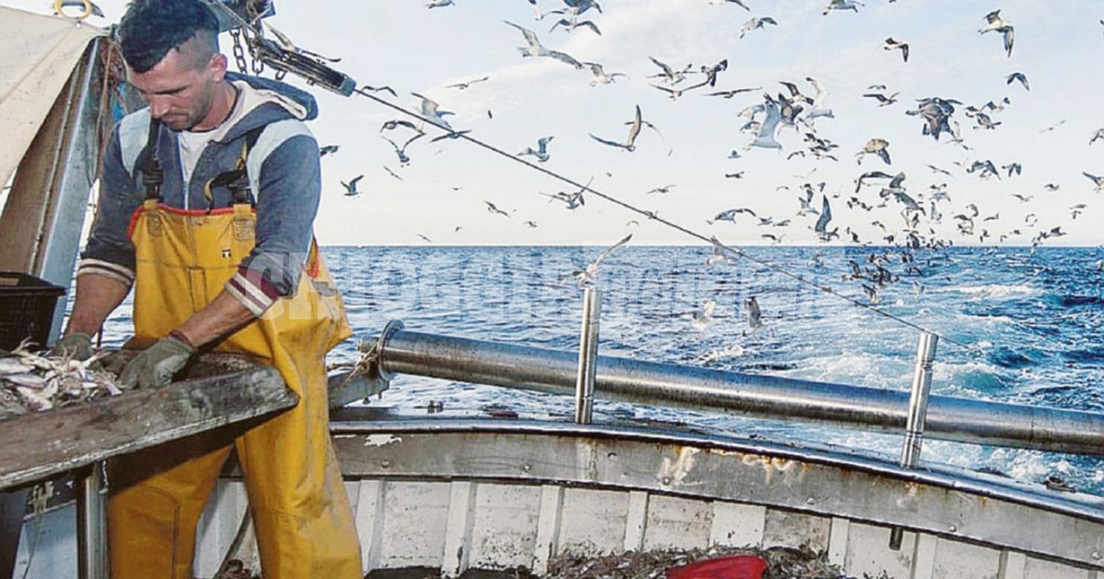 Stati generali, Armelao: “Sarà la riscossa della pesca”