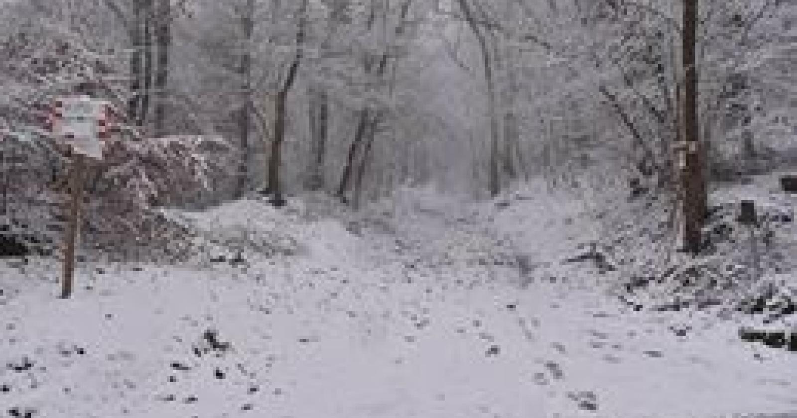 Meteo, torna la neve sulle Dolomiti