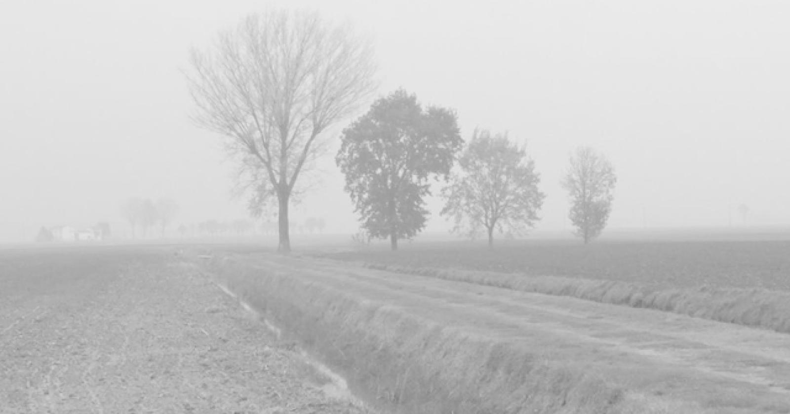 L’anticiclone anomalo torna dall’Immacolata