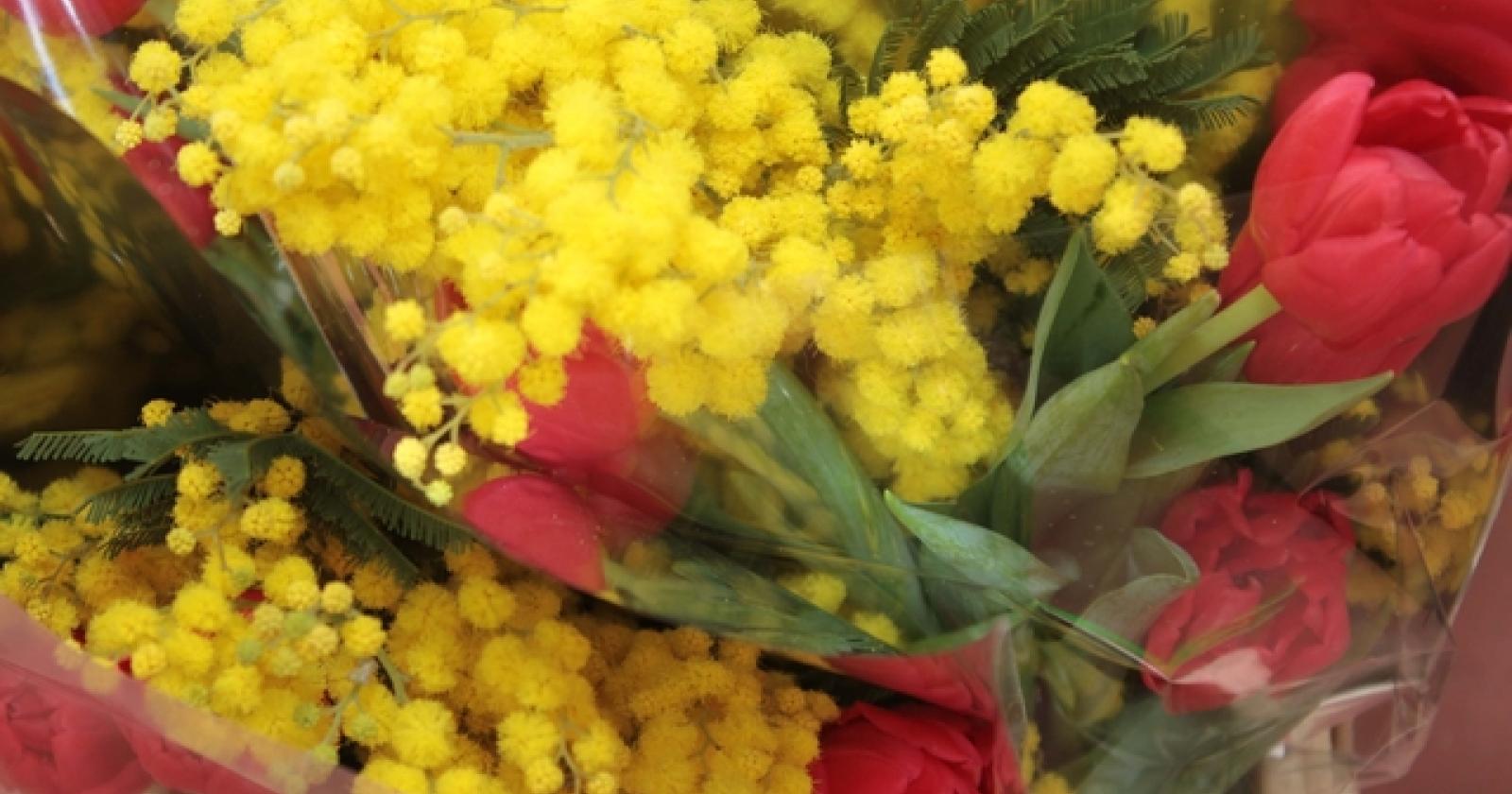 Festa della Donna 8