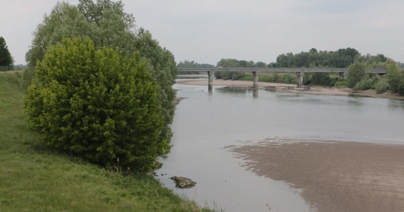 In arrivo finanziamenti per una barriera contro il cuneo salino sull'Adige
