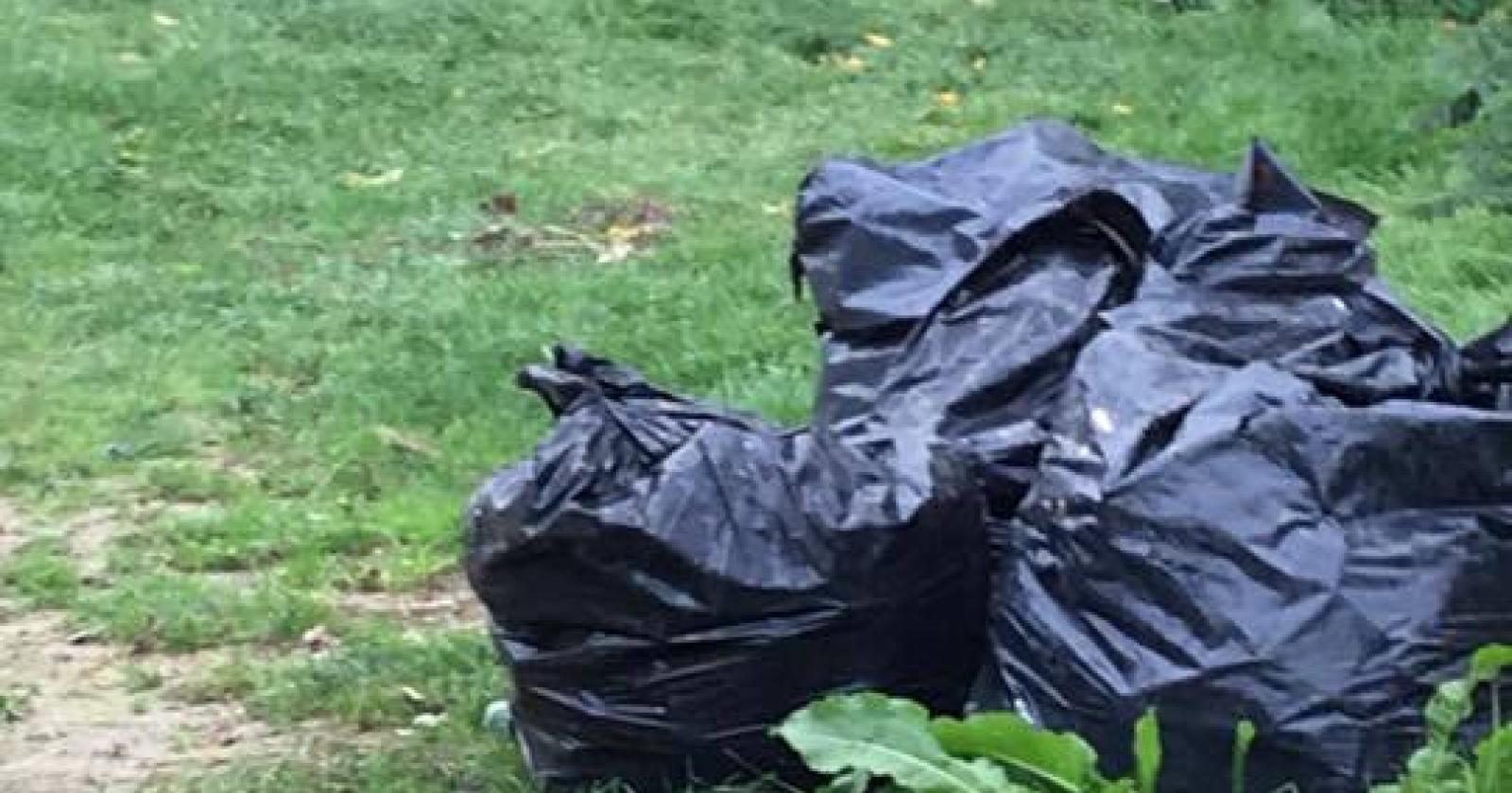 L'abbandono dei rifiuti costa nel 2025 &egrave; costato  1,5 milioni di euro 