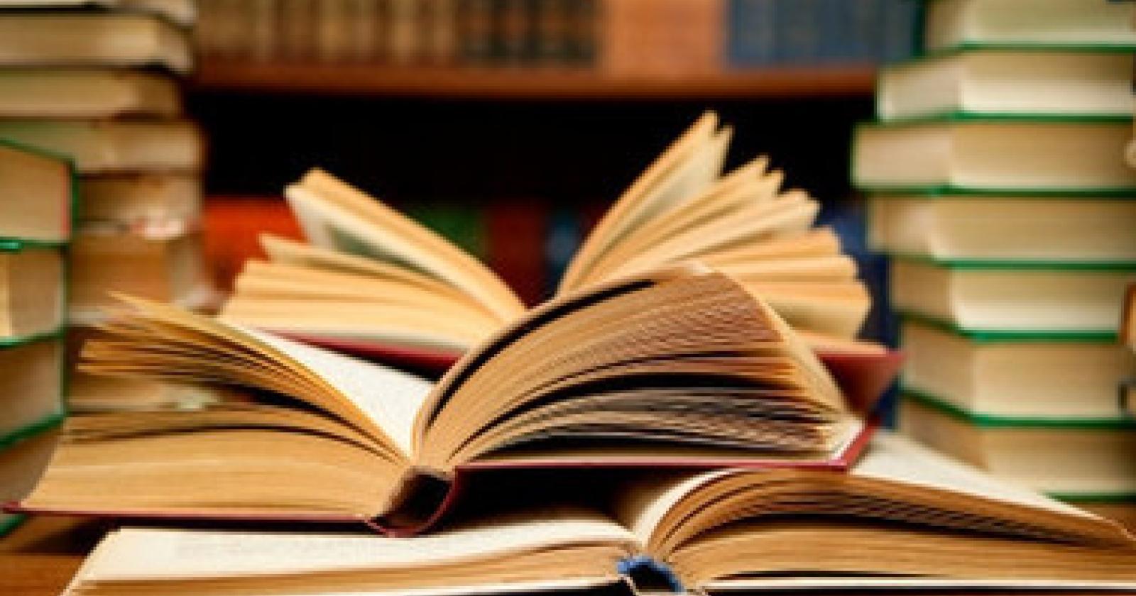 “Piazziamoci un libro” continua