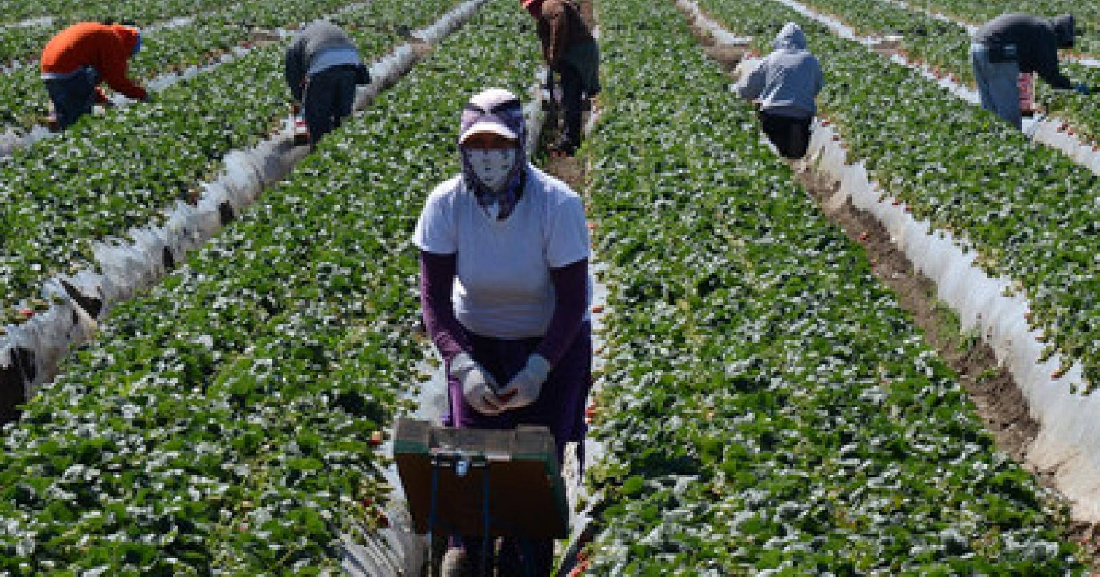 Lavoro, il Veneto si affida ai lavoratori stranieri
