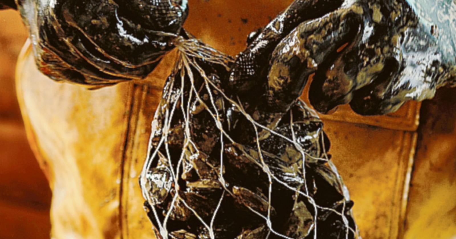 Un Guinness World Record a suon di cozze