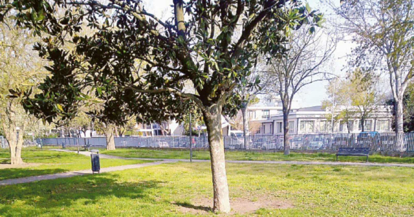 Il Comune manda una squadra a ripulire il parco