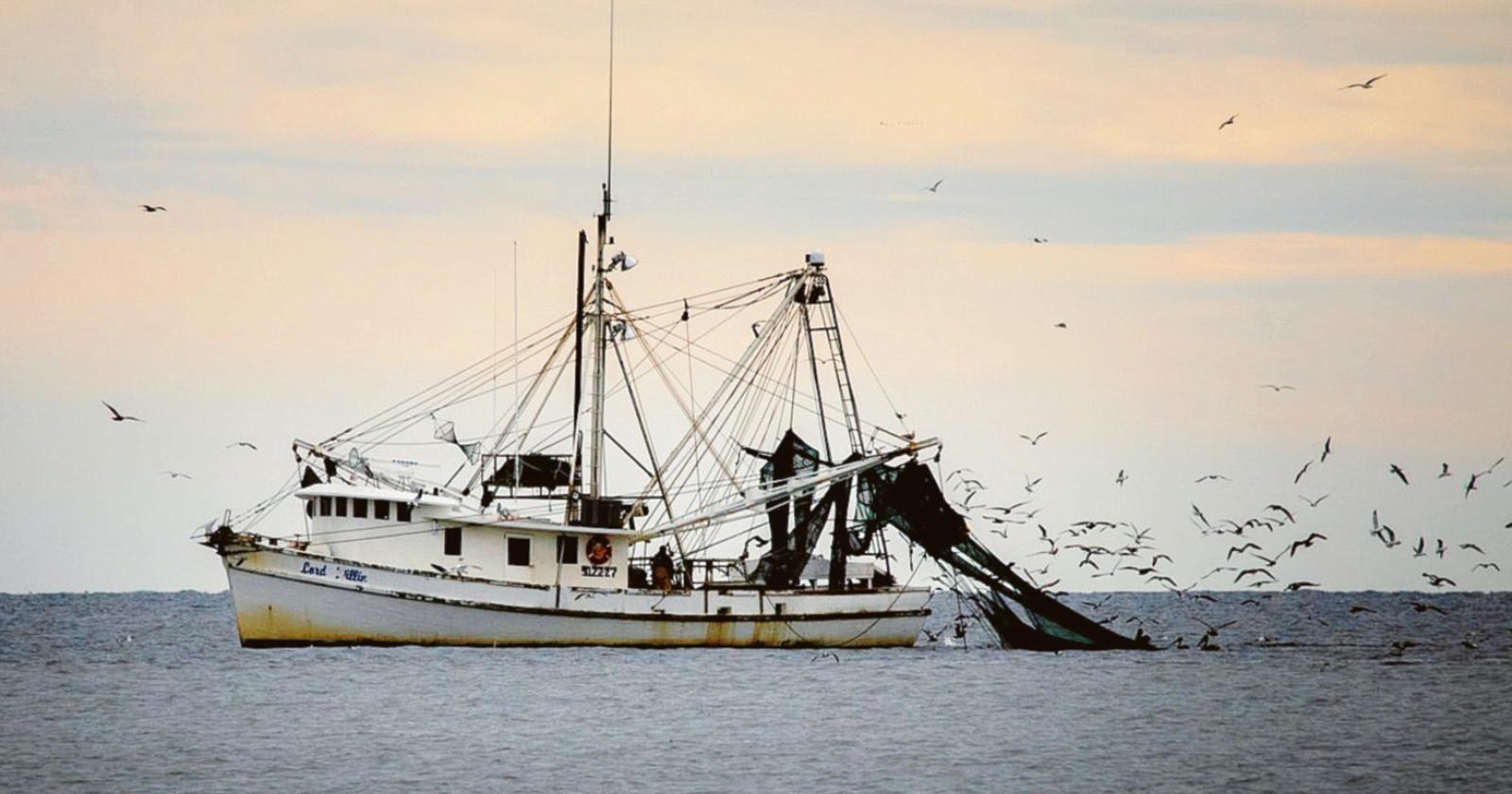 Pesca e legalità, focus di Coldiretti