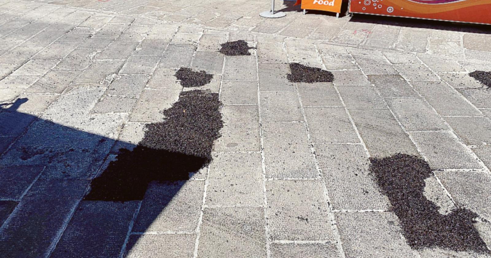 Armelao difende il rattoppo: “La sicurezza prima di tutto”