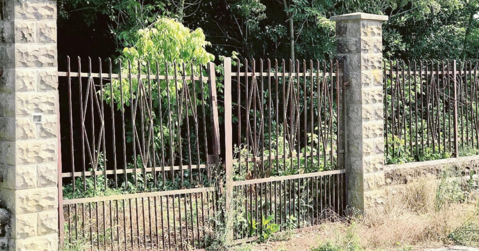 Ex scuole preda di erbacce e piccioni