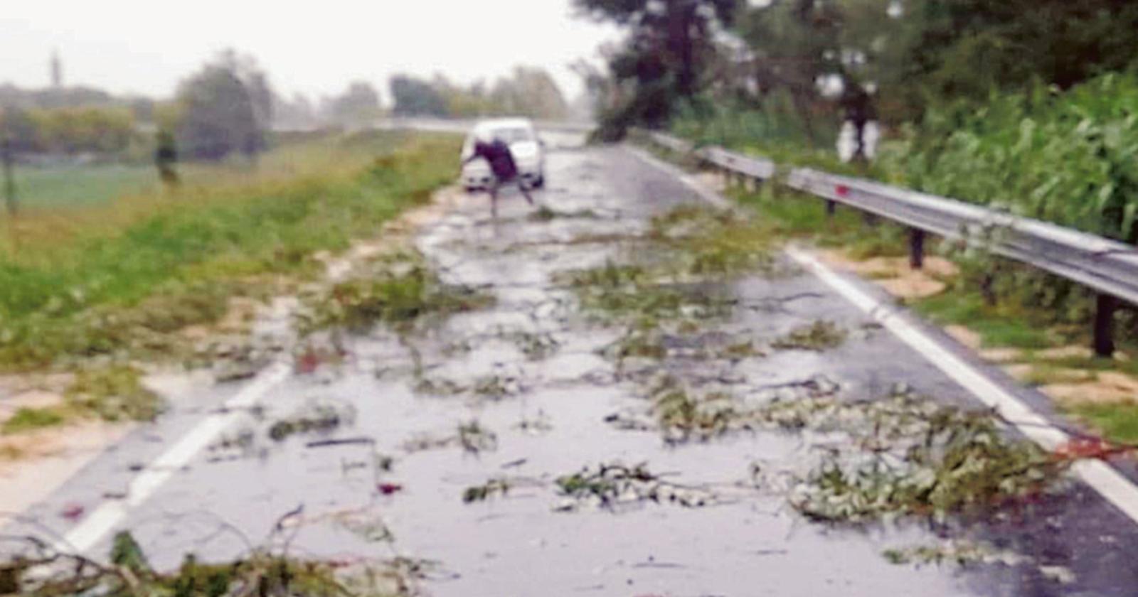 Maltempo, inizia la conta dei danni