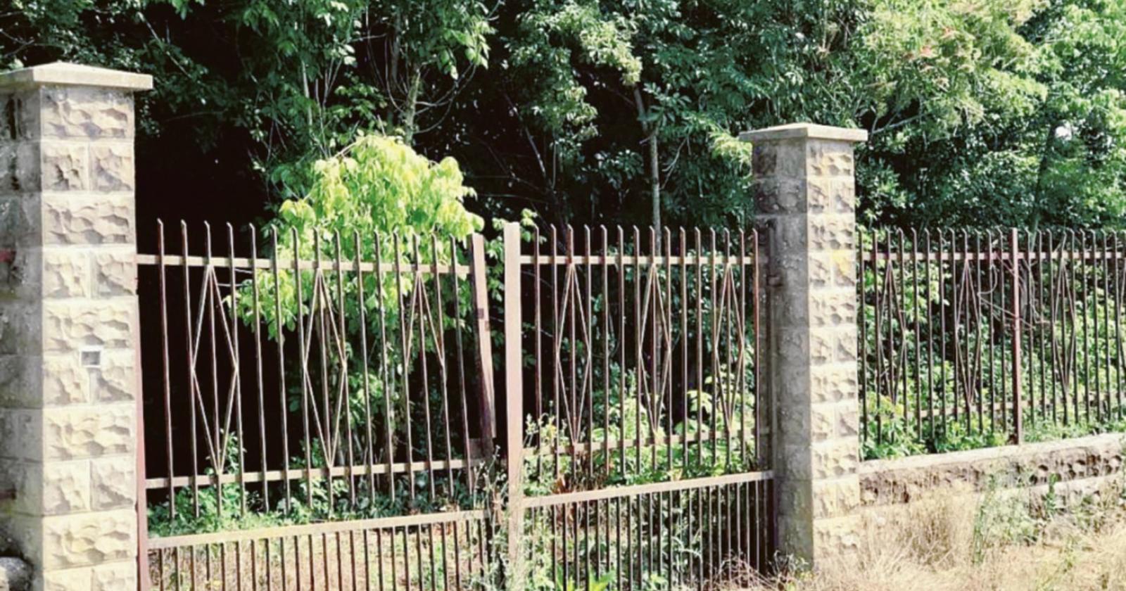 Una vera foresta nel Villaggio