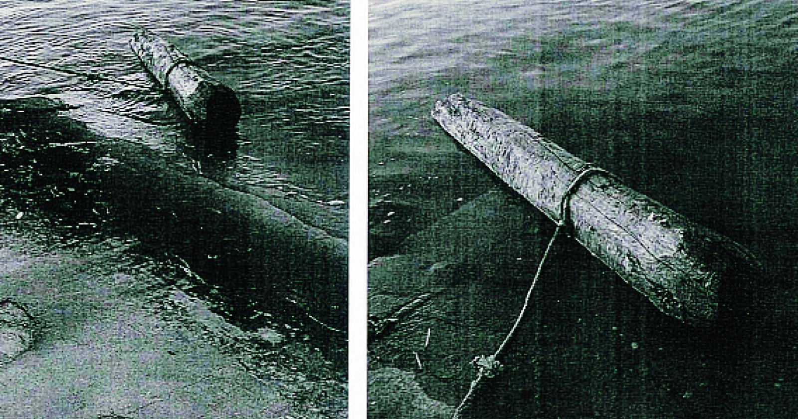 Gettano briccola in acqua... per gioco