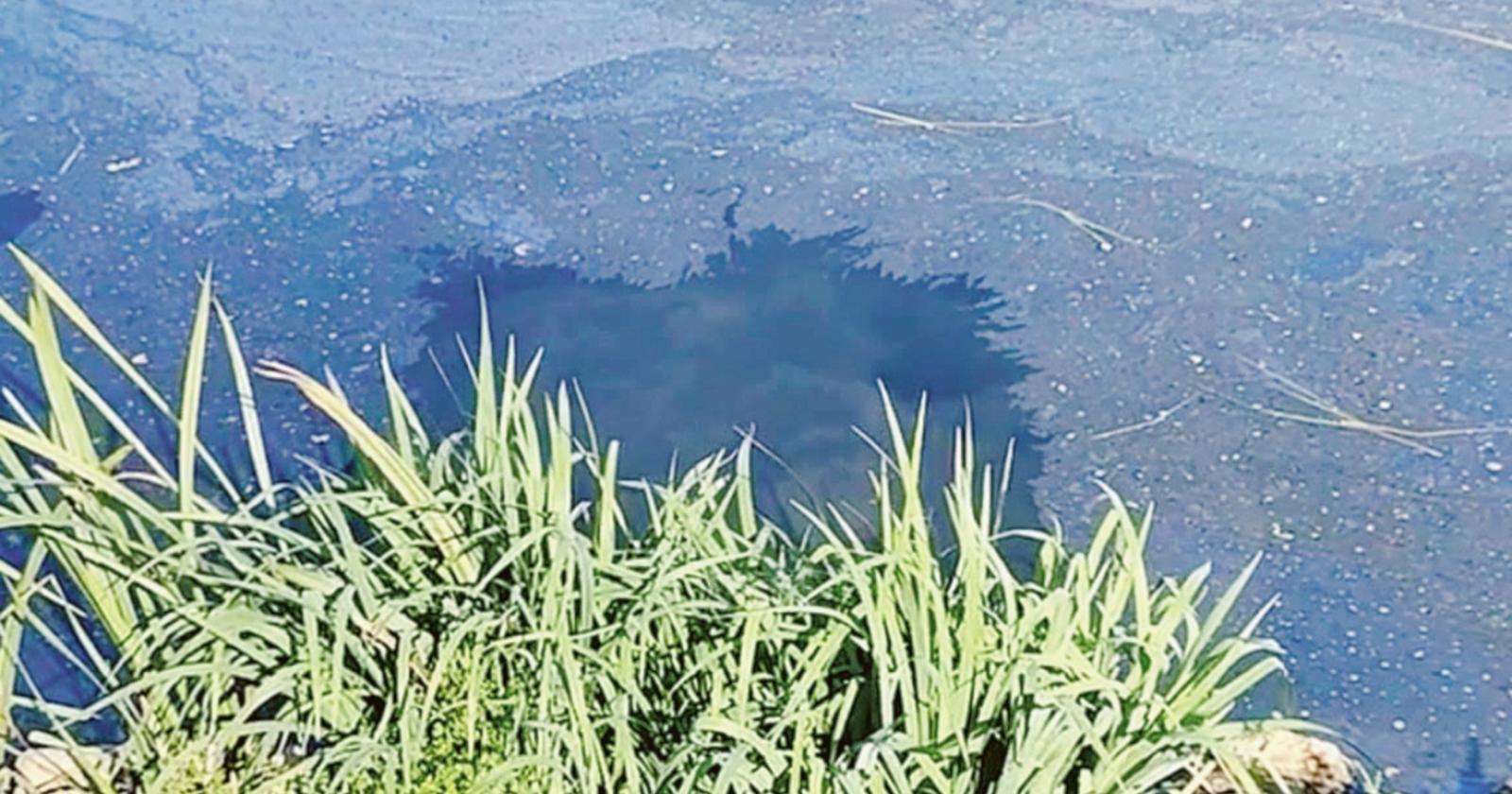 Chiazza nera nel canale, l'allarme del sindaco