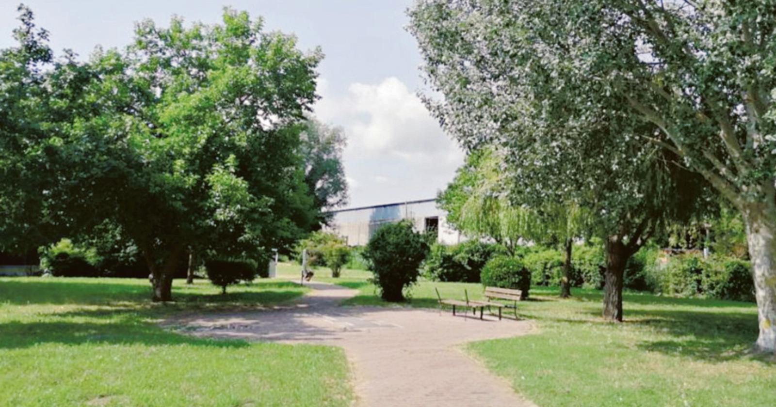 Verde, si rischia l’effetto jungla