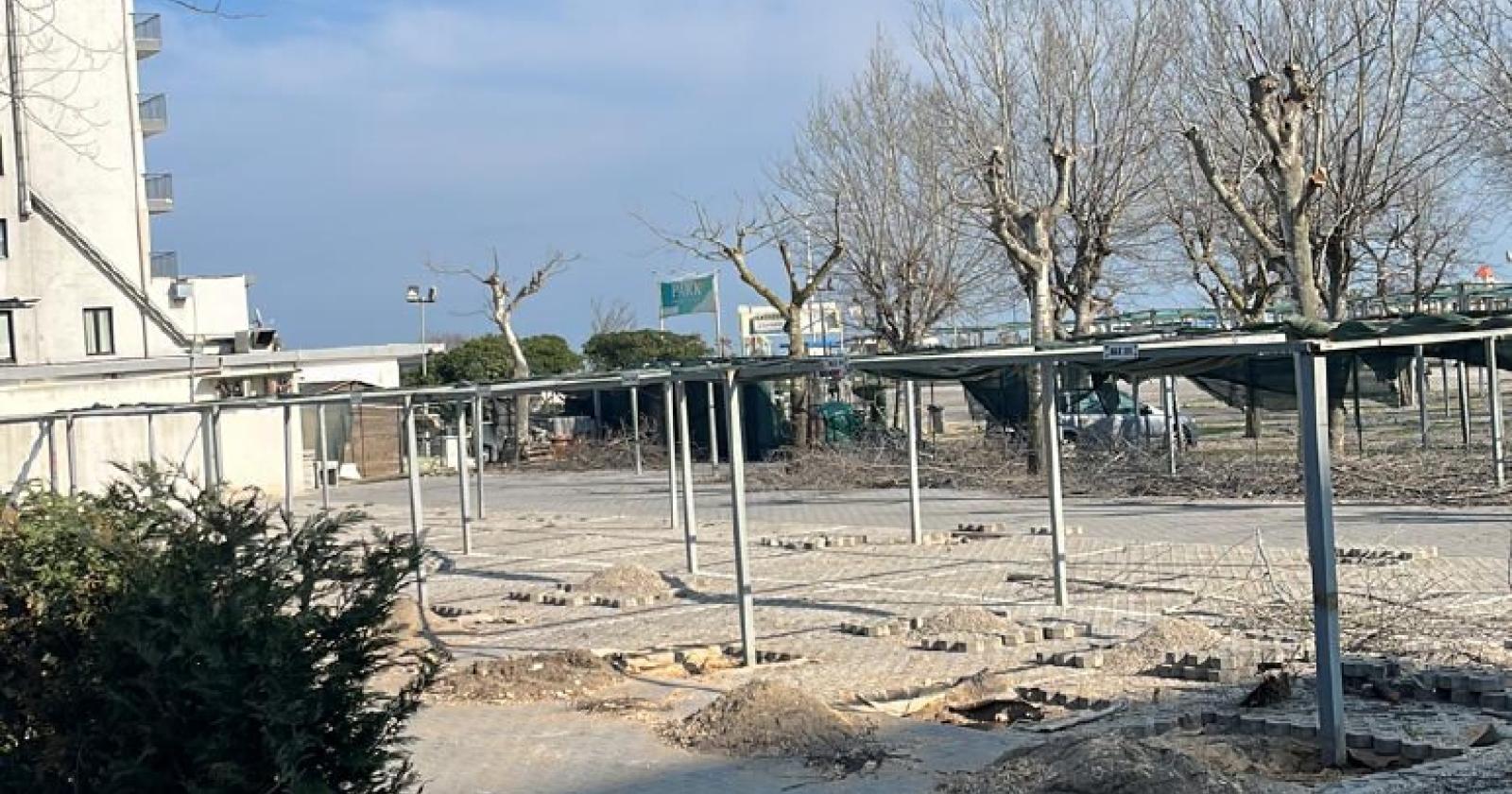 Alberi rimossi da via Colombo: erano malati