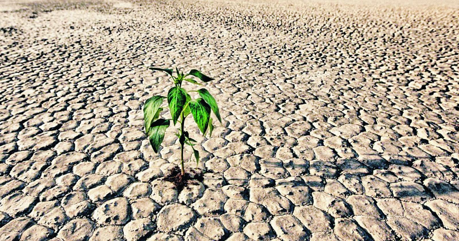 La crisi idrica qui può attendere