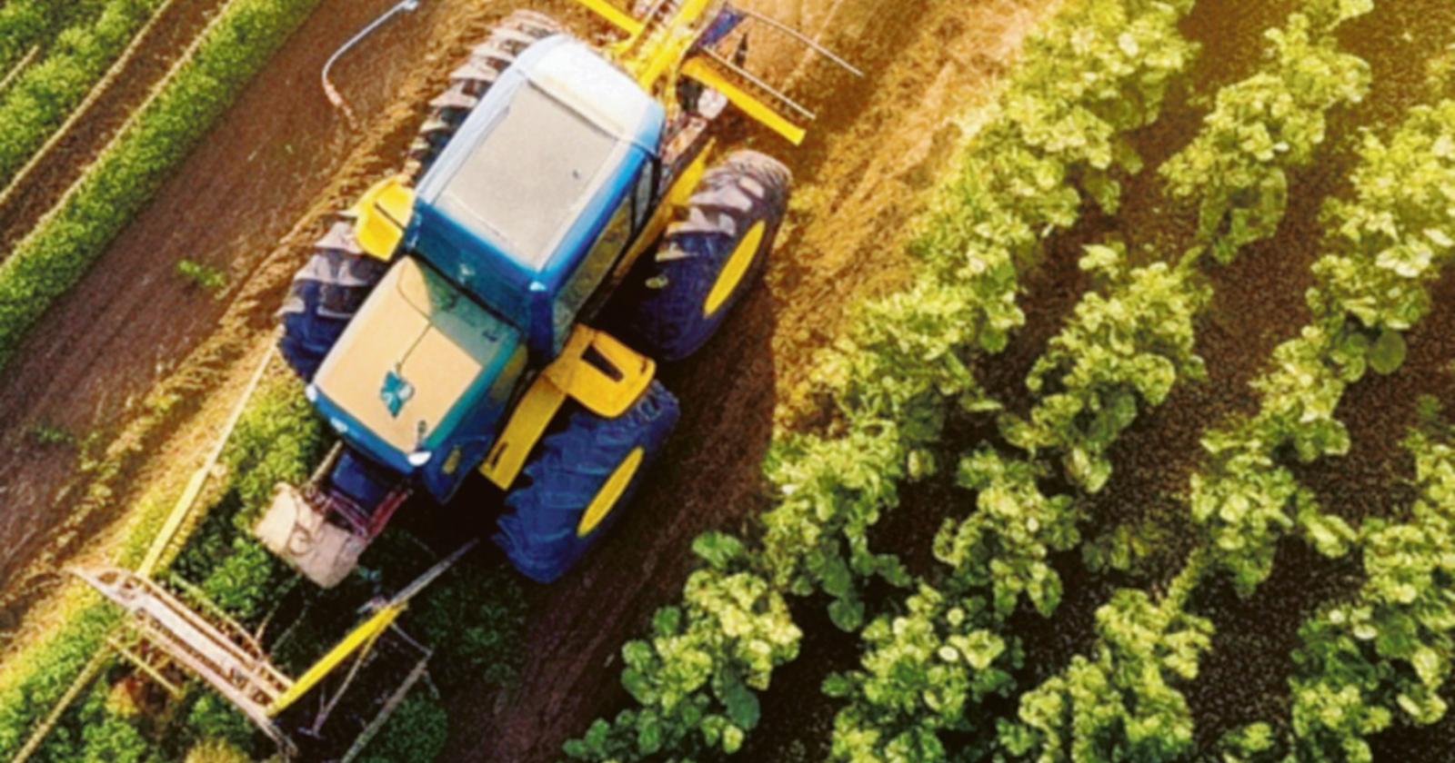 Costi e meno reddito, l'allarme degli agricoltori