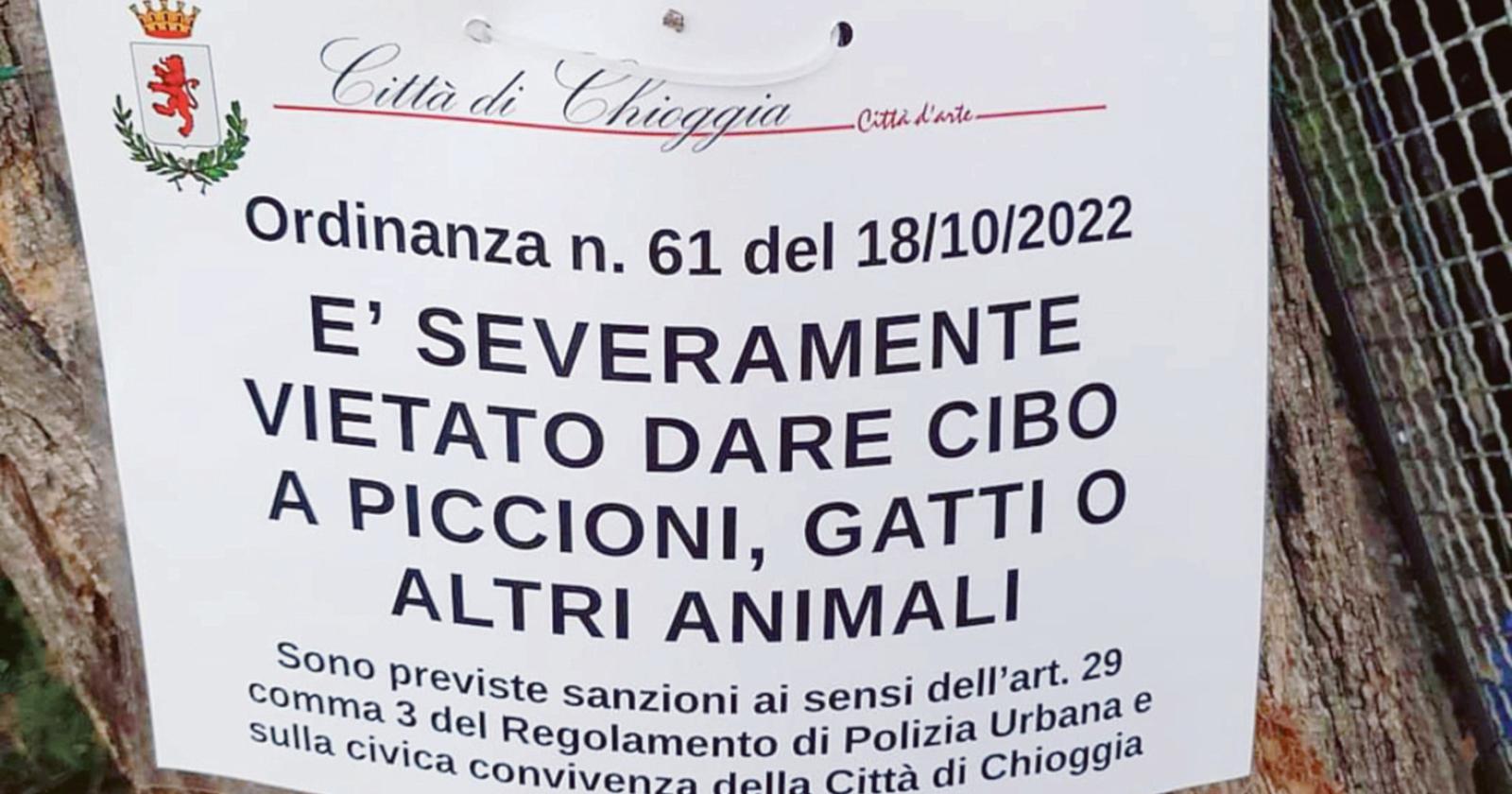 “No cibo ai gatti”, scatta la polemica