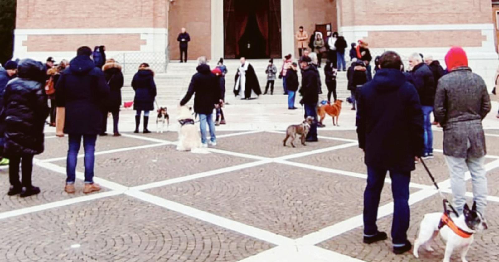 Tantissimi Fido benedetti in duomo