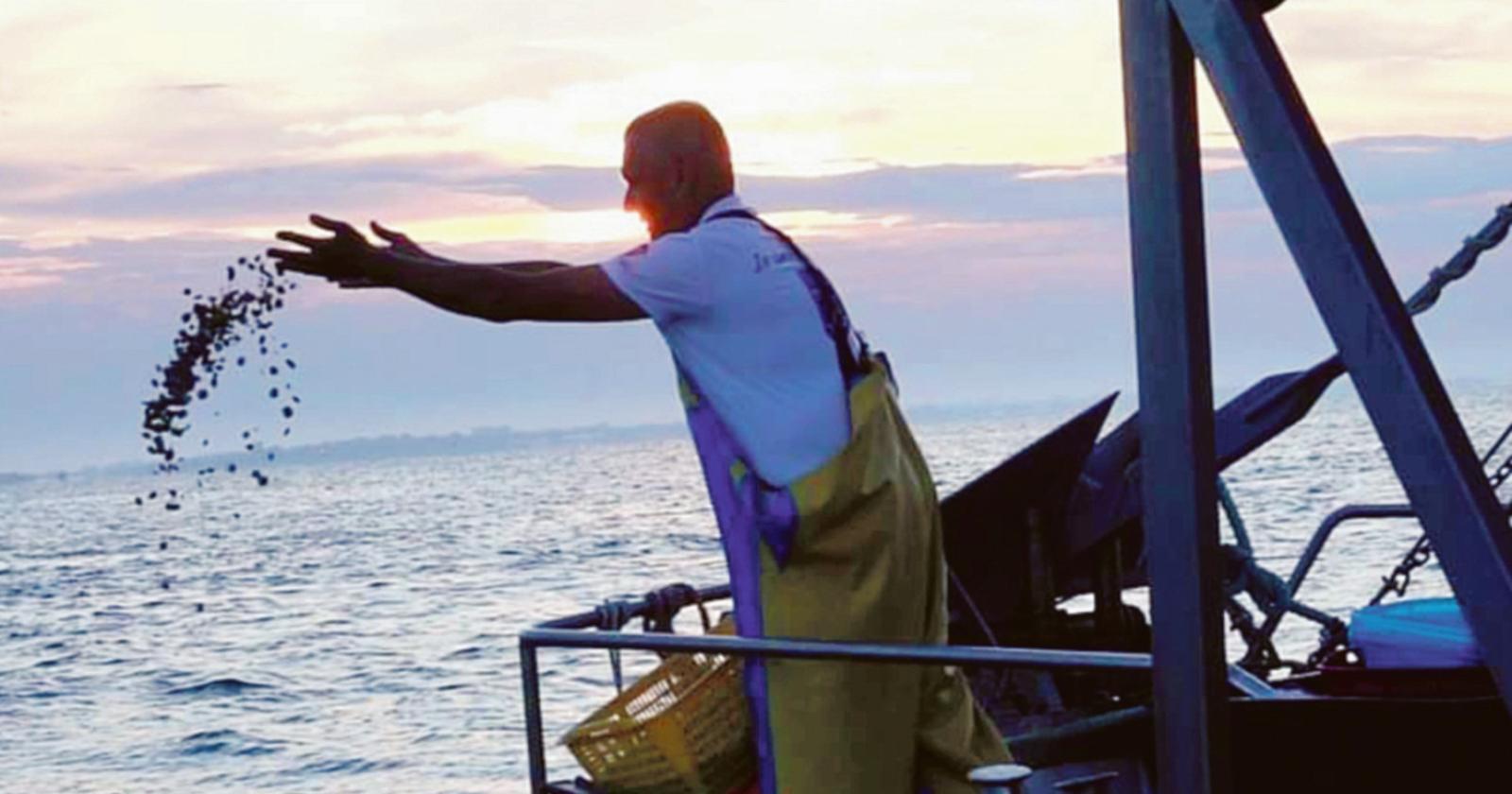 Premiata la vongola lupino