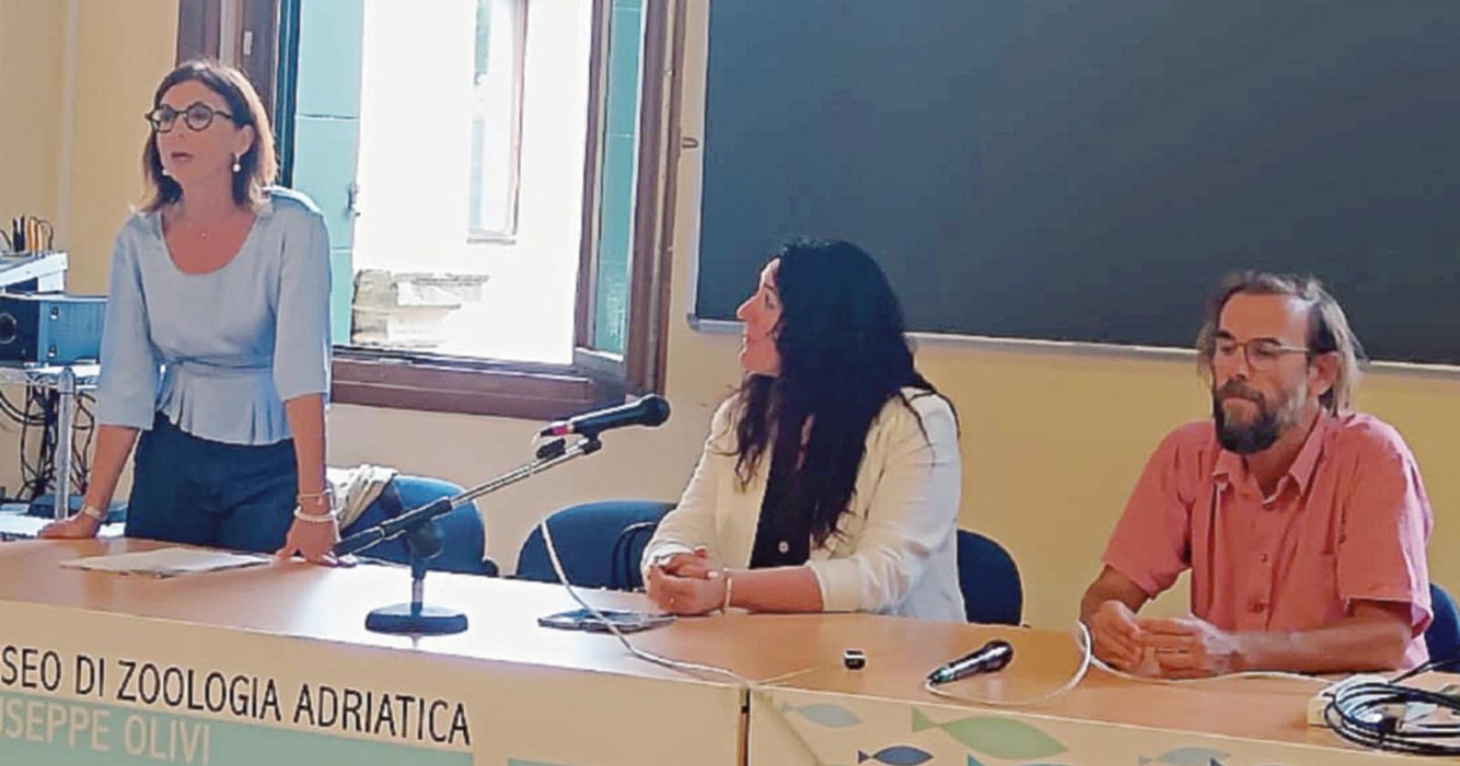 Laguna Sud, adesso le proiezioni entrano nel vivo