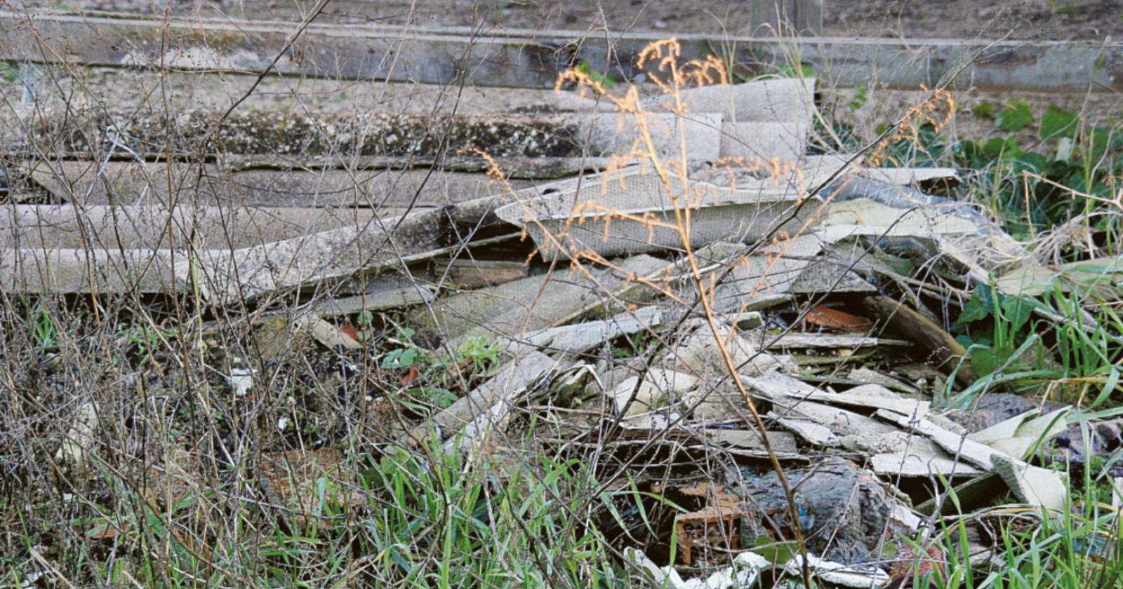 Crolli nell’edificio, chiuso per eternit