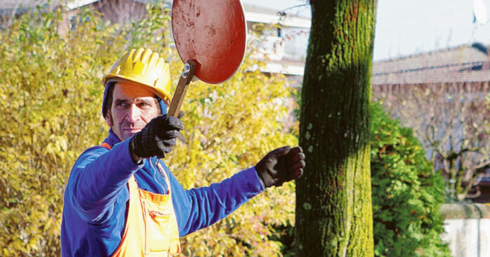 Inserimento al lavoro per 7 persone