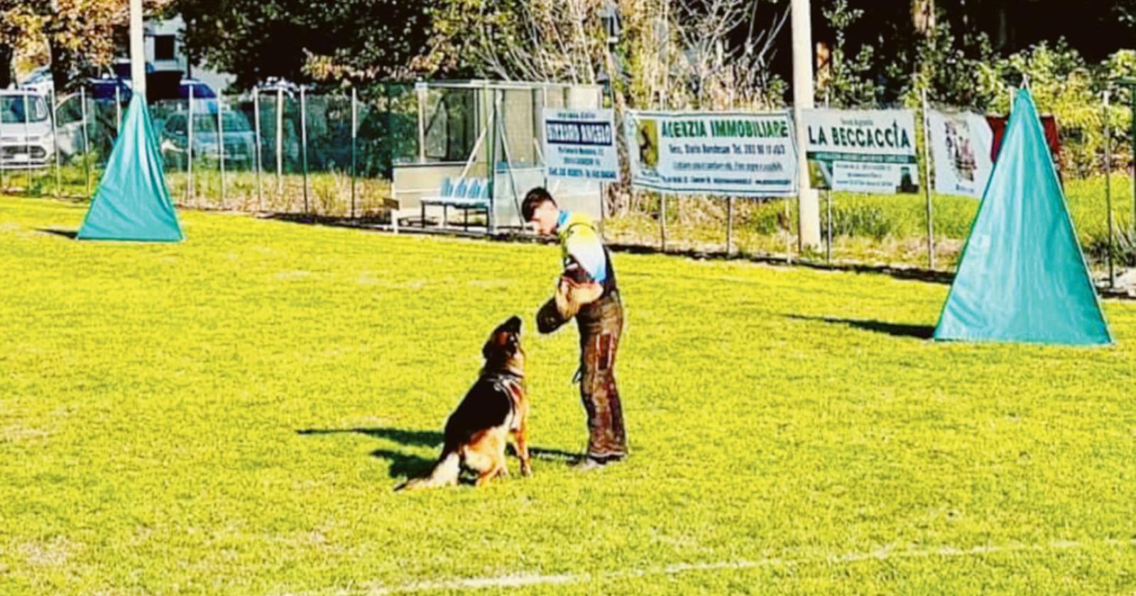 Gli addestratori canini top sono qui